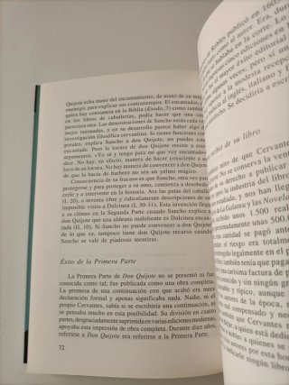 Cervantes y Don Quijote