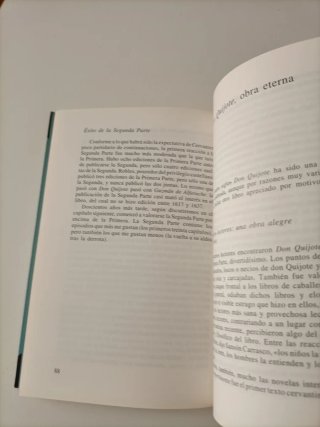 Cervantes y Don Quijote