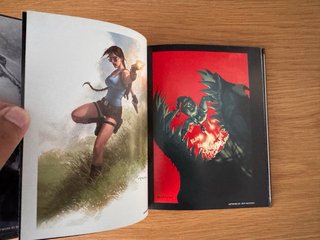 Rise of the Tomb Raider PS4