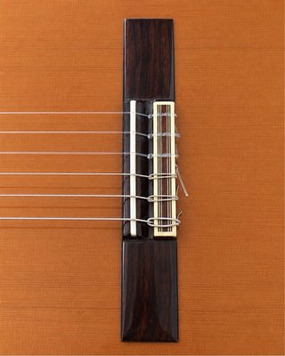Guitarra Alhambra 6P autoamplificada