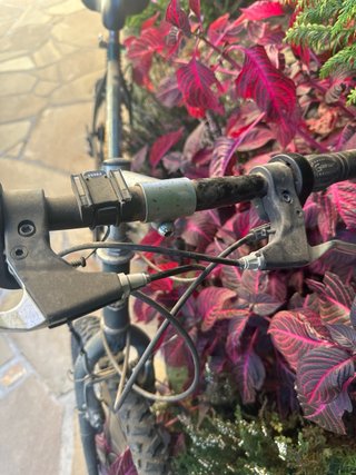 Bicicleta BH 100