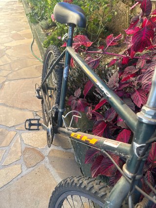 Bicicleta BH 100