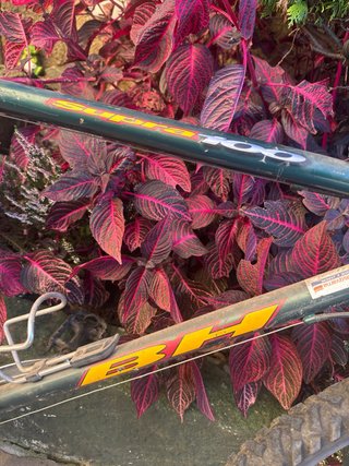 Bicicleta BH 100