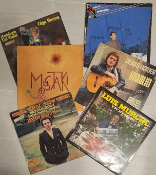Lote 31 Vinilos Variados