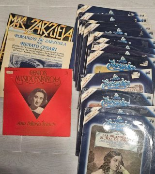 Lote 31 Vinilos Variados