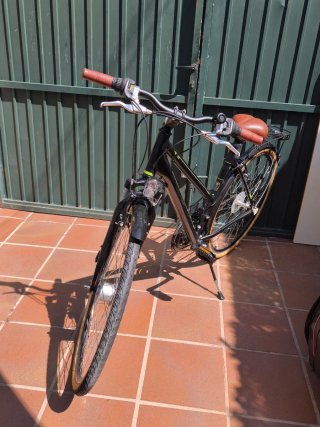 Bicicleta Urbana Negra