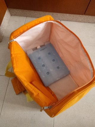 Bolsa nevera grande naranja