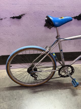 Bicicleta BH clásica BH Running Bull