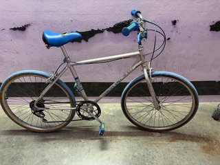Bicicleta BH clásica BH Running Bull
