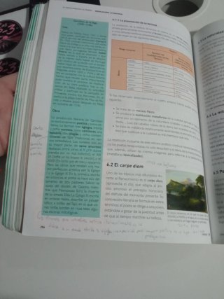 Lengua castellana y Literatura 1 Bachillerato