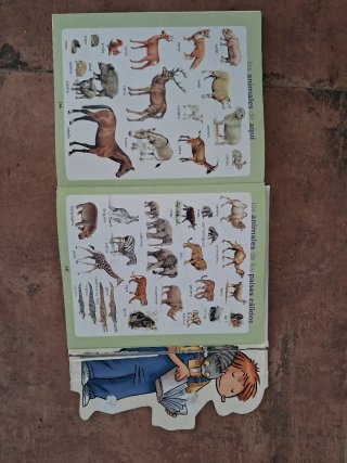 Diccionario Vox español con dibujos