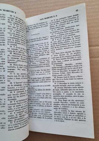 Edición para Evangelismo personal Nuevo Testamento
