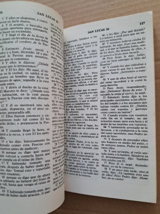 Edición para Evangelismo personal Nuevo Testamento