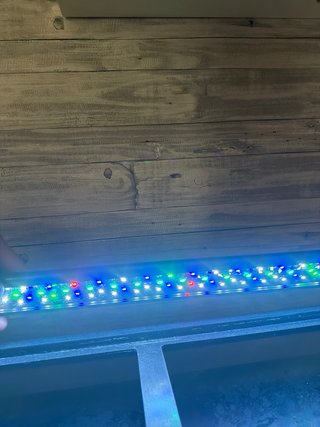 Pecera de cristal de 80L