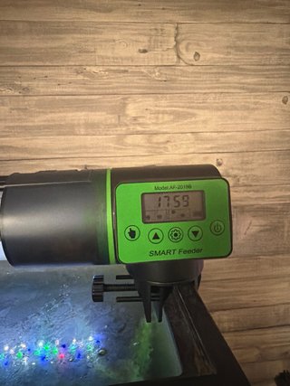 Pecera de cristal de 80L