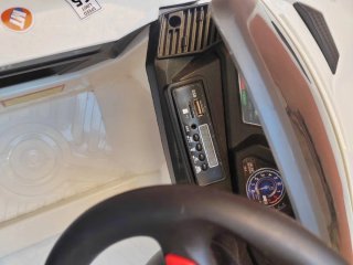 Coche eléctrico