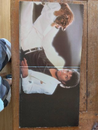 Michael Jackson Thriller LP Vinilo