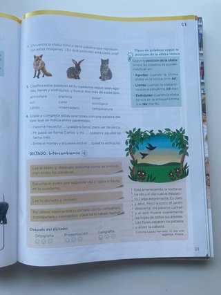 Lengua 4 Primaria:Tres trimestes(leer descripción)