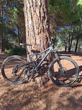 Orbea Rallon Enduro