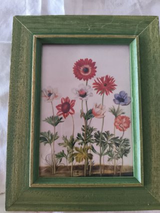Pareja cuadros decorativos flores y árbol
