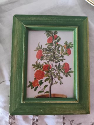 Pareja cuadros decorativos flores y árbol