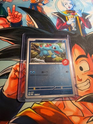 Carta Pokémon Tepig y Totodile Promo Pizza Hut