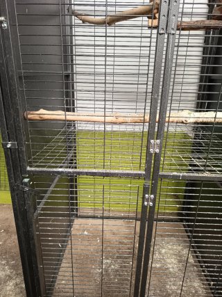 Voladero Imor 1m Loros