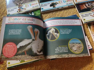 Pack Mis animales favoritos. El pais.