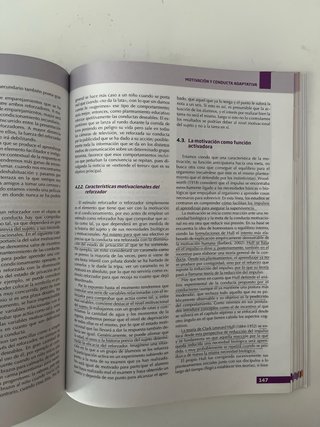 Fundamentos teóricos y prácticos de la motivación