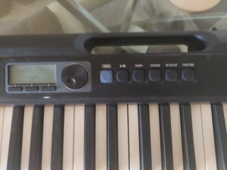 Teclado Casio Casiotone