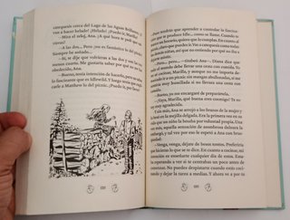 Ana de Las Tejas Verdes La Llegada
