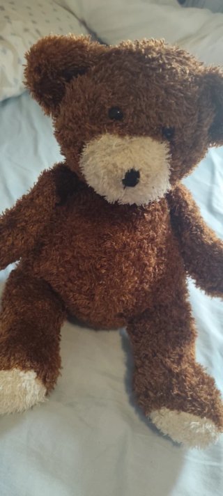 Oso de peluche marrón