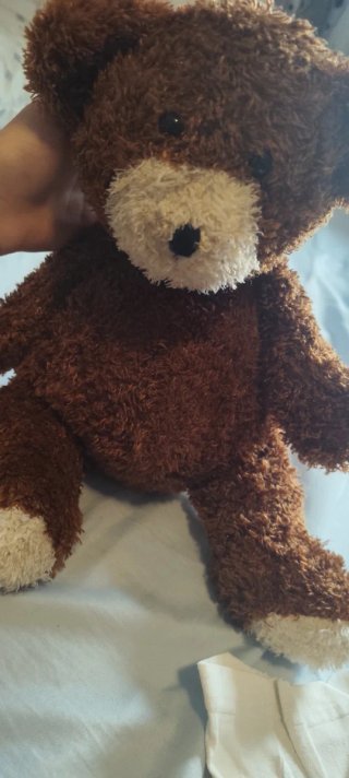 Oso de peluche marrón