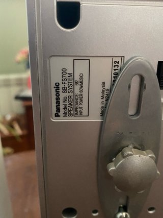 Altavoces Panasonic Gris