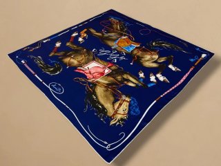 Foulard Hermes in seta blu e marrone