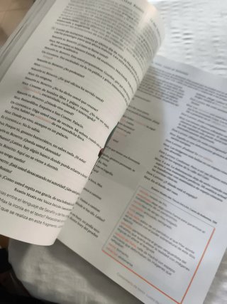 Lengua castellana y Literatura Revuela : 4 Secu...