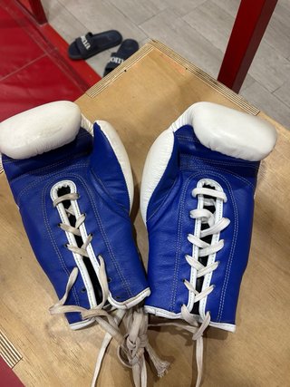 Guantes Muay Thai MTG Pro 6oz