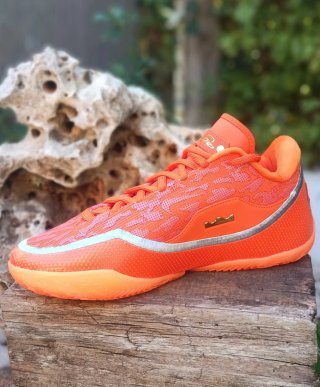 Envio incluido!!! NIKE LeBron XXIII Shoes Bag