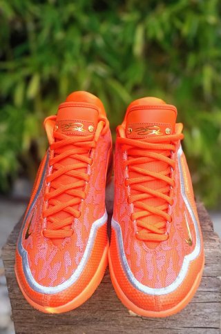 Envio incluido!!! NIKE LeBron XXIII Shoes Bag
