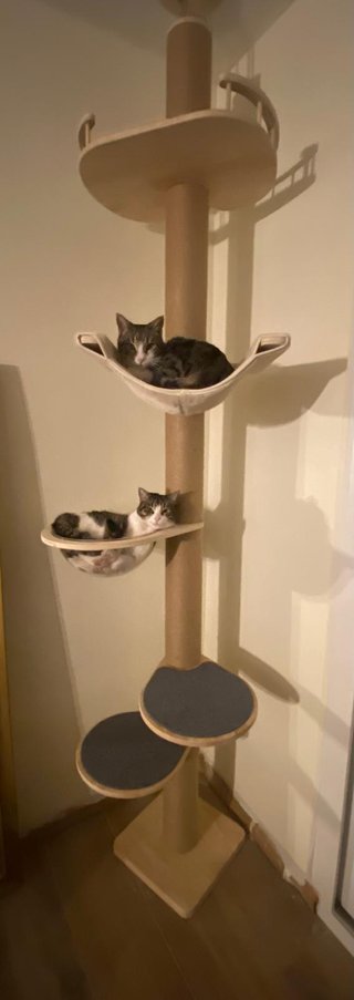 Torre para gatos de madera y tela