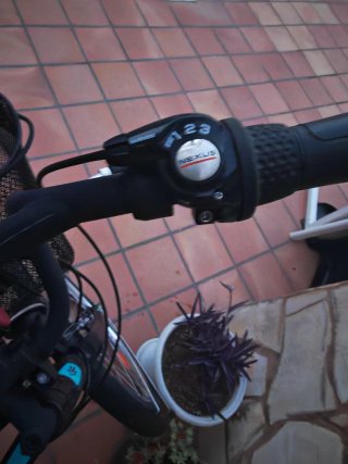 Bicicleta Paseo Mujer 3 Cambios