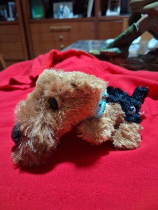 Colección Perritos Dog