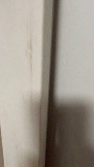 Espejo de pie y pared madera y cristal