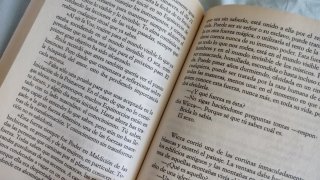 Lote libros: Delparaiso, fielmente juntos y brida