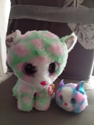 Peluche Ty Gatto Rosa e Verde