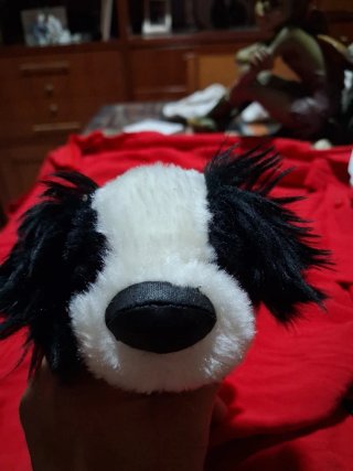 Peluche perrito colección