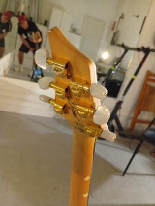Washburn DP100 David Palau Signature