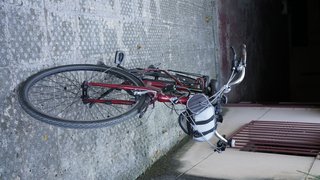 Bicicleta Wolfbike Trekking Cuadro Bajo