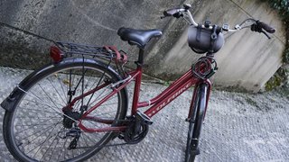 Bicicleta Wolfbike Trekking Cuadro Bajo