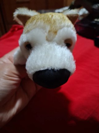 Peluche perro colección 10c/u